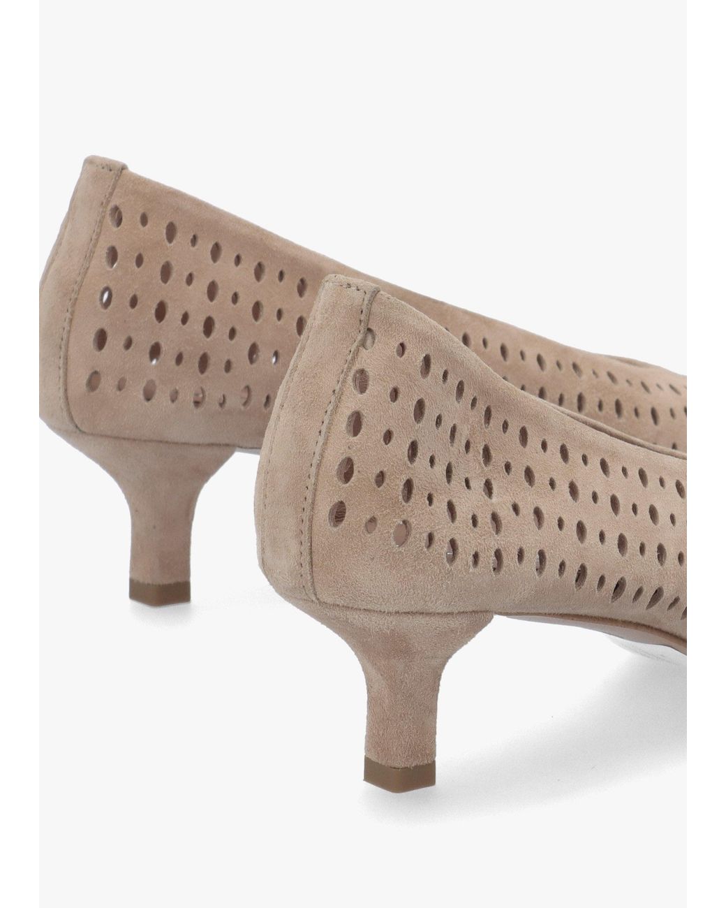 Daniel Multicolor Skye Perforated Kitten Heel Court Shoes