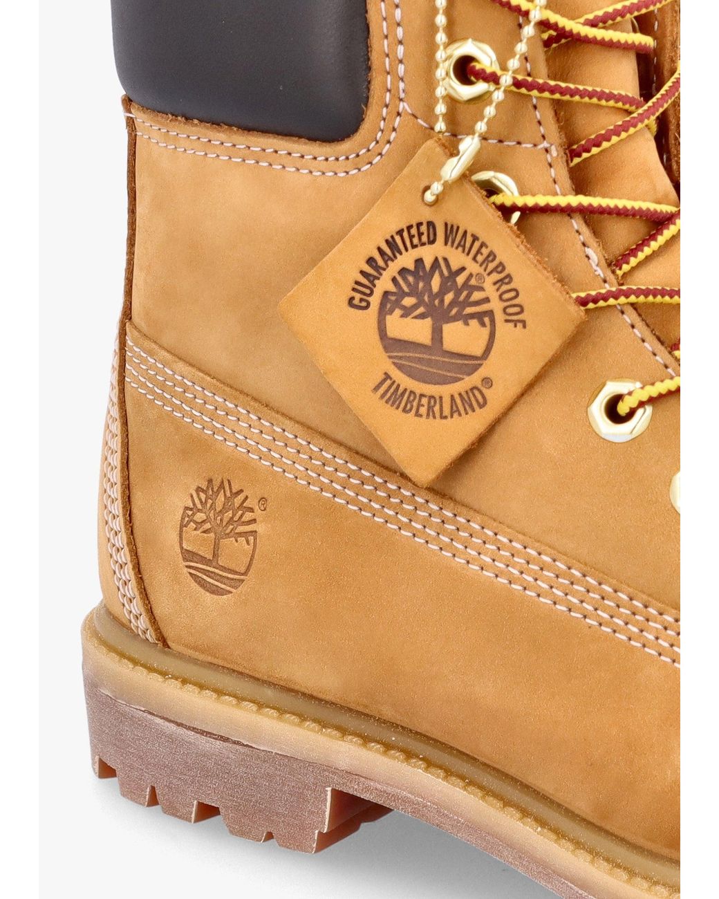 Timberland Brown Premium 6 Inch Waterproof Boots
