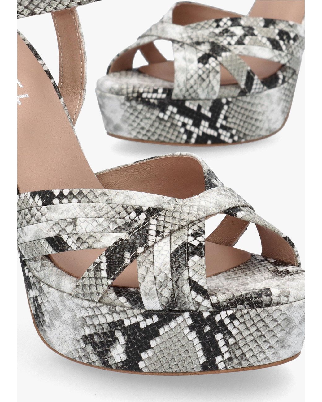 Daniel Metallic Avery Reptile Leather Heeled Sandals