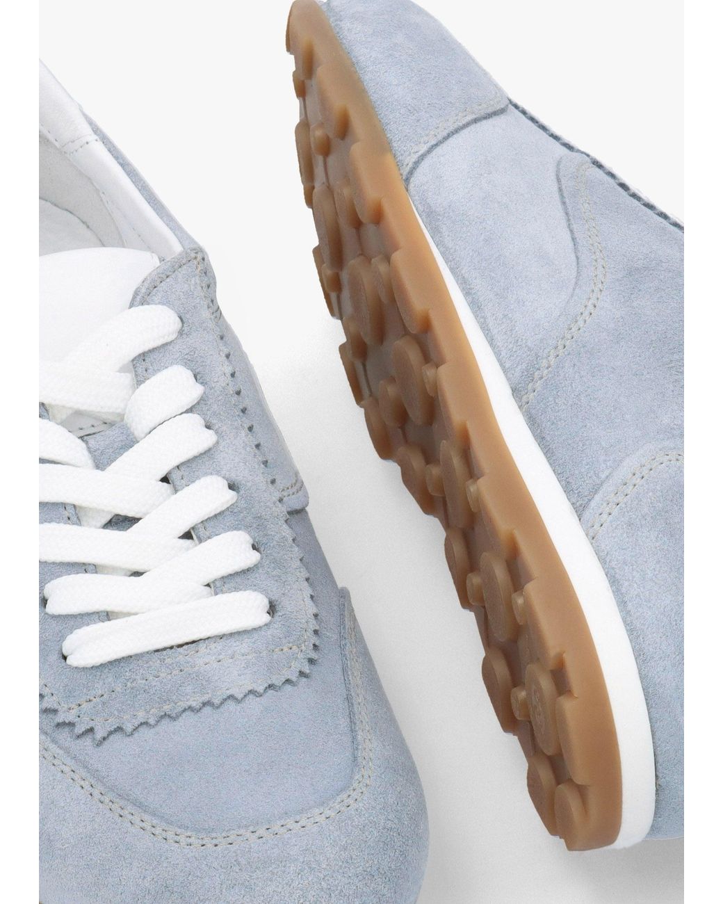 Daniel Blue Geeki Low Profile Trainers