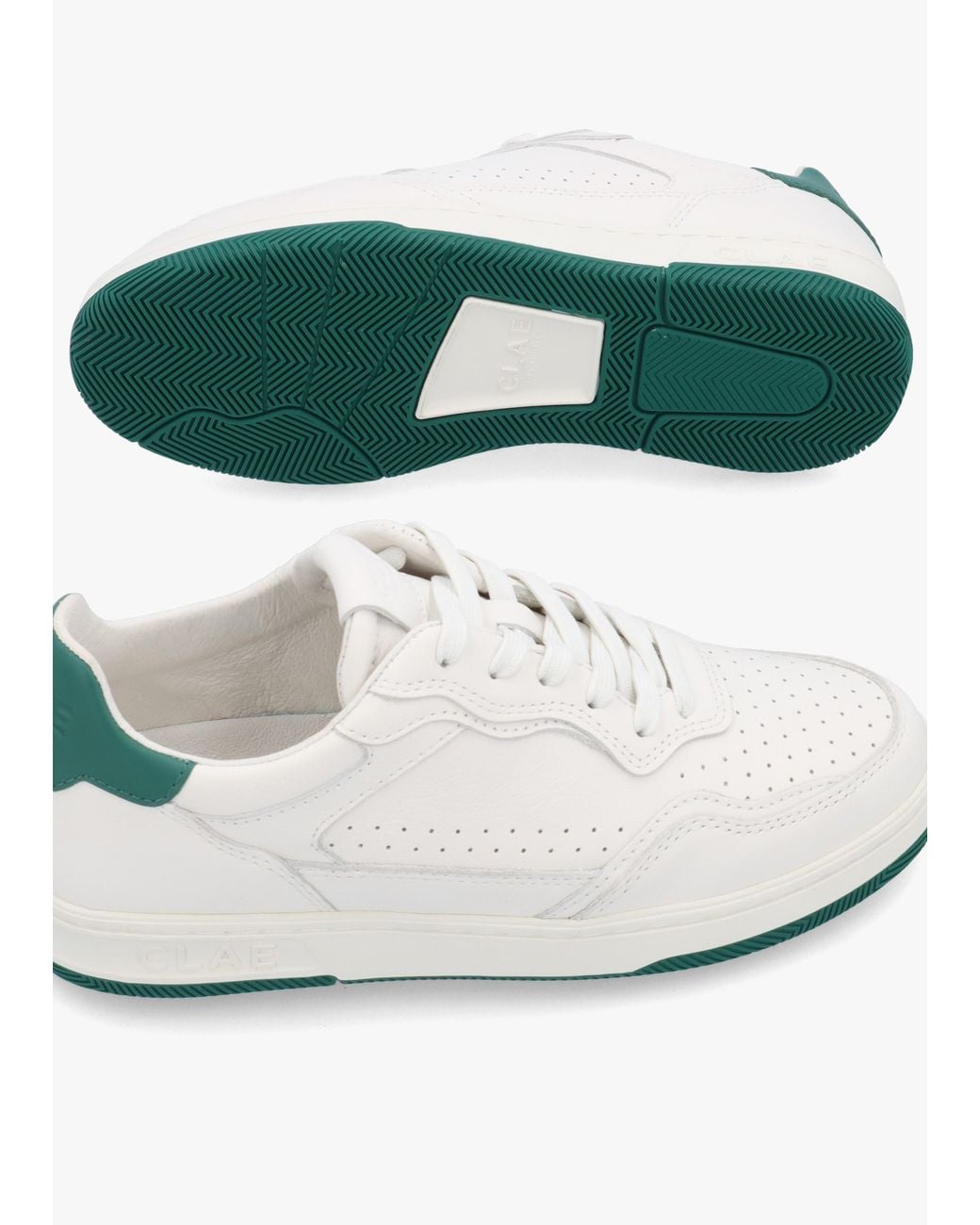 CLAE White Haywood Galapagos Trainers