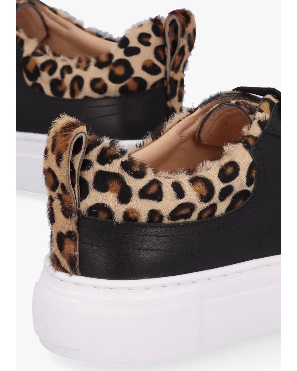 Daniel Black Panny Leather Leopard Trainers