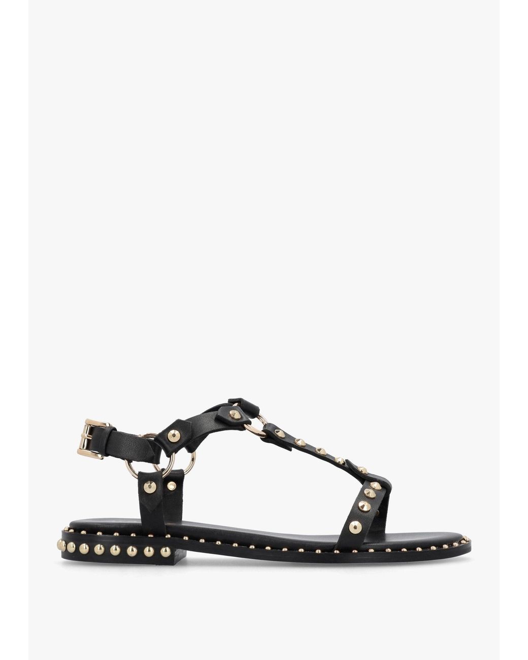 Daniel Multicolor Everlast T Bar Studded Sandals