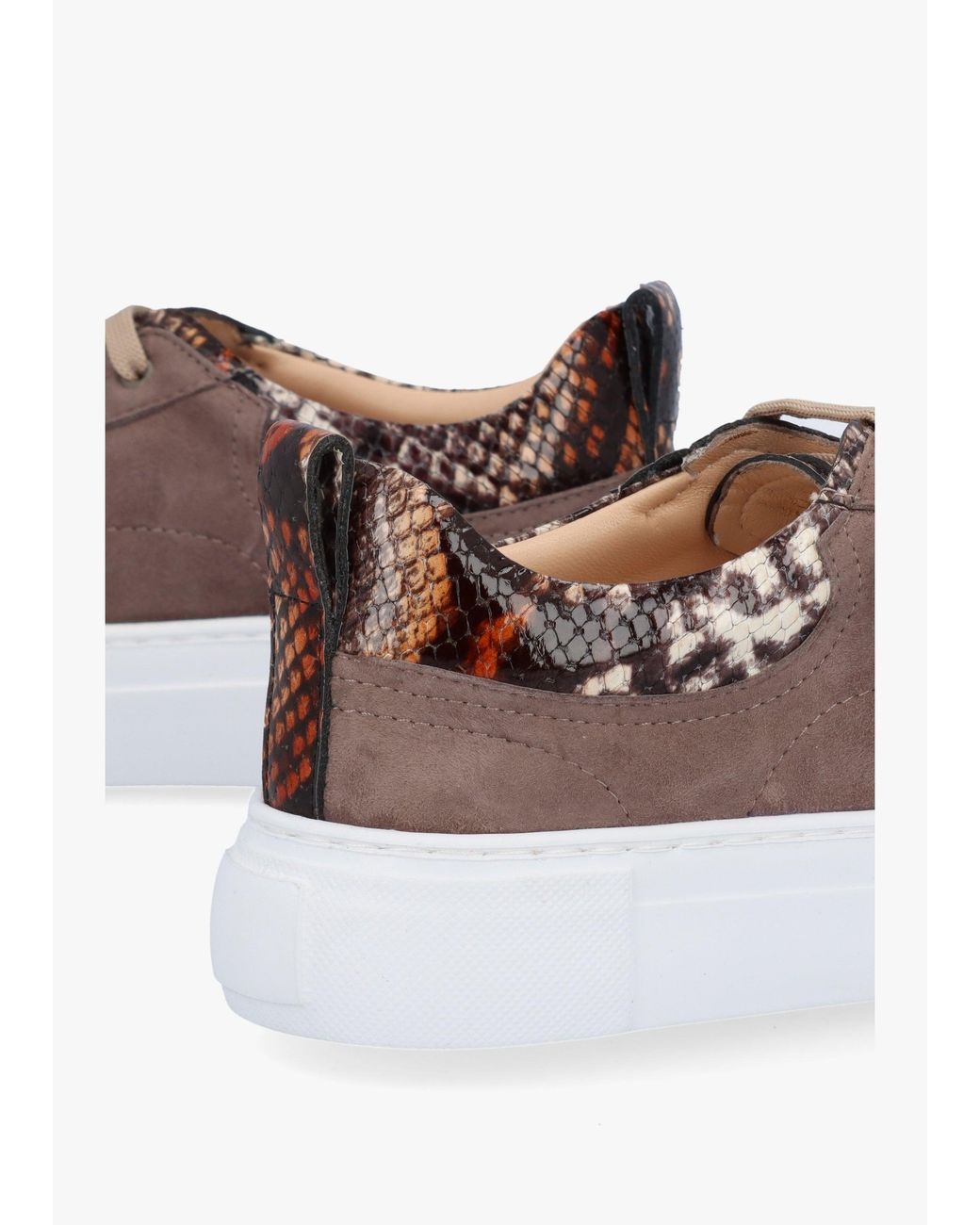 Daniel Brown Panny Reptile Trainers