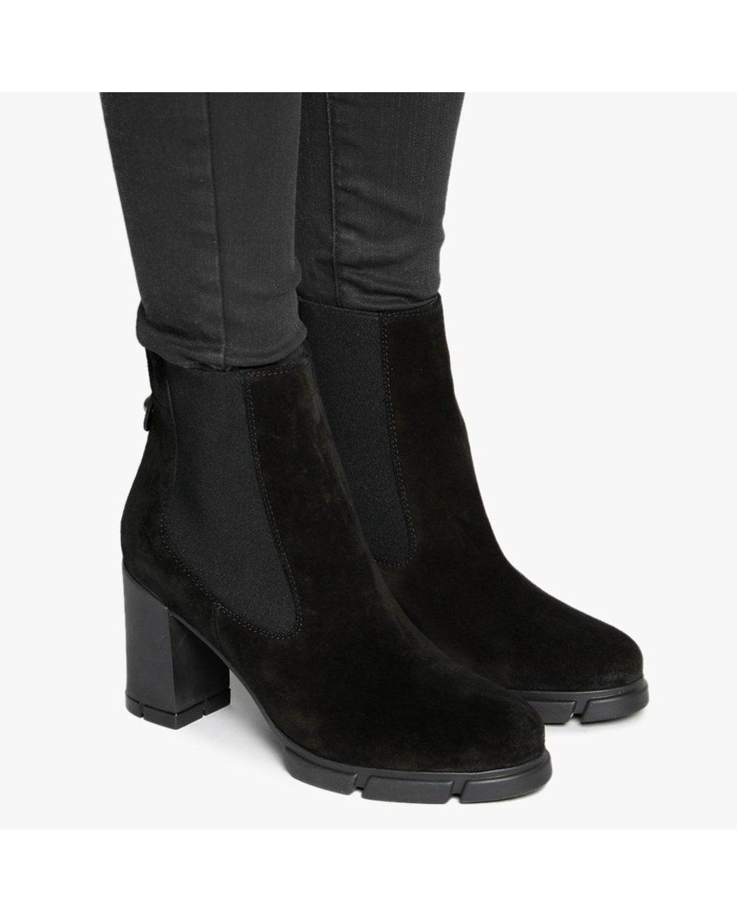 daniel suede chelsea boot