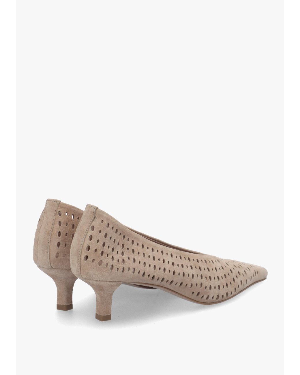 Daniel Multicolor Skye Perforated Kitten Heel Court Shoes