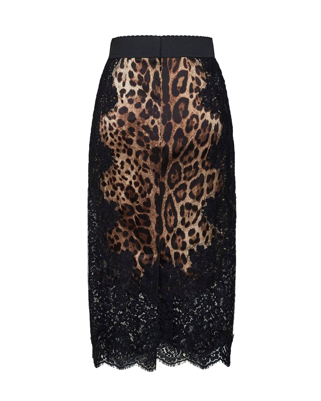Dolce & Gabbana Black Leopard-Print Satin And Lace Pencil Midi Skirt