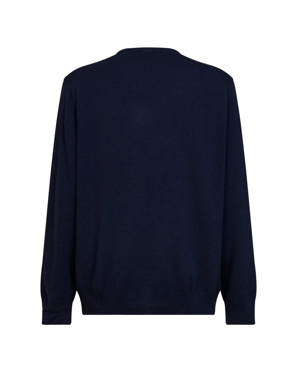 Polo Ralph Lauren Blue Crew-Neck Long-Sleeved Sweater for men