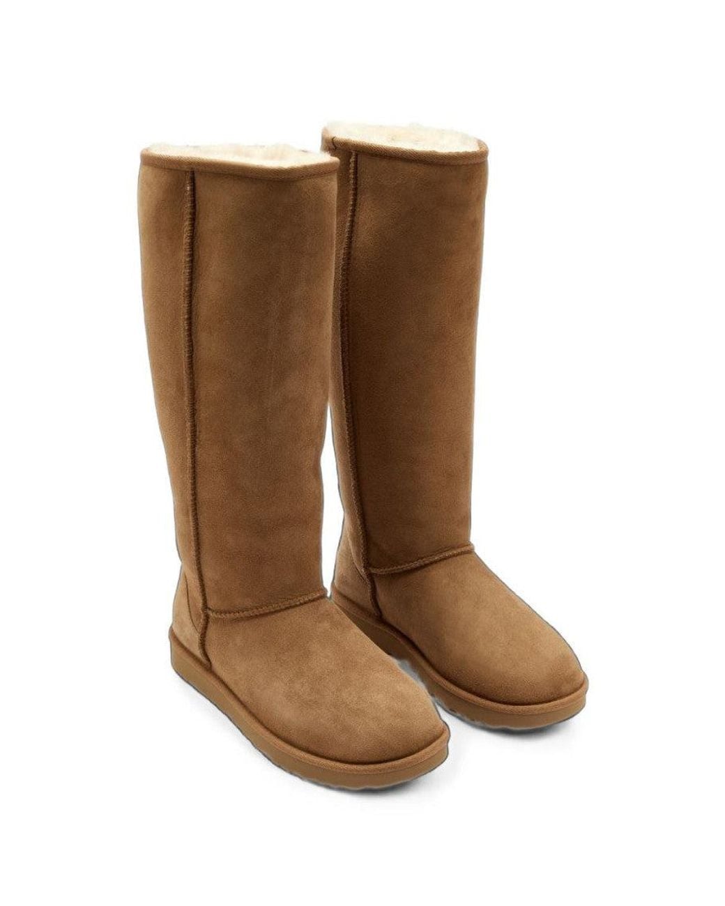 Ugg Brown Classic Tall Boot