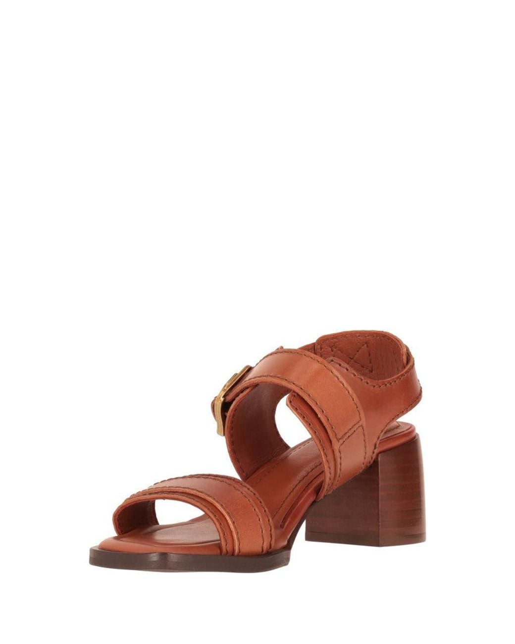 Paul Smith Brown Solid Sandals