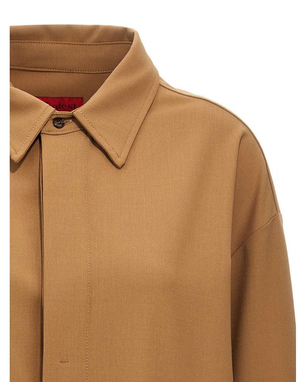 THE LATEST Brown Andrea Shirt