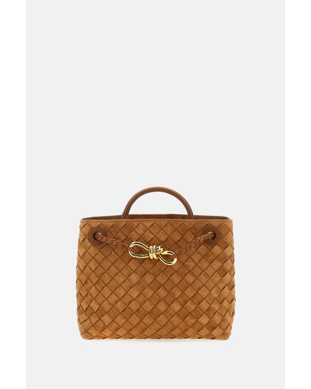 Bottega Veneta Brown Andiamo Handbag