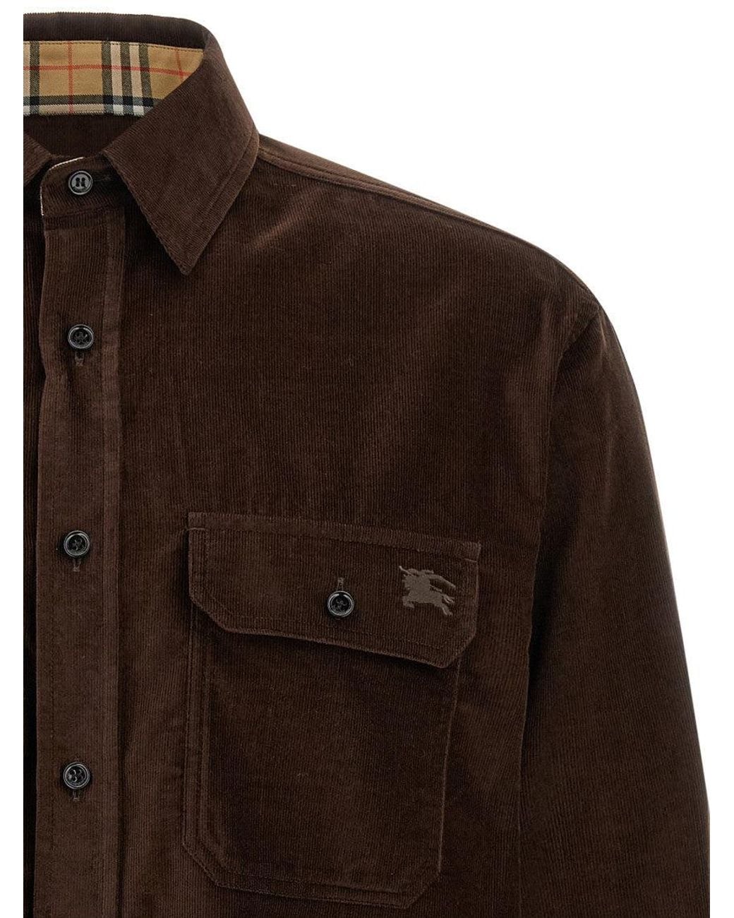 Burberry Brown Dark Regular Shirt for men