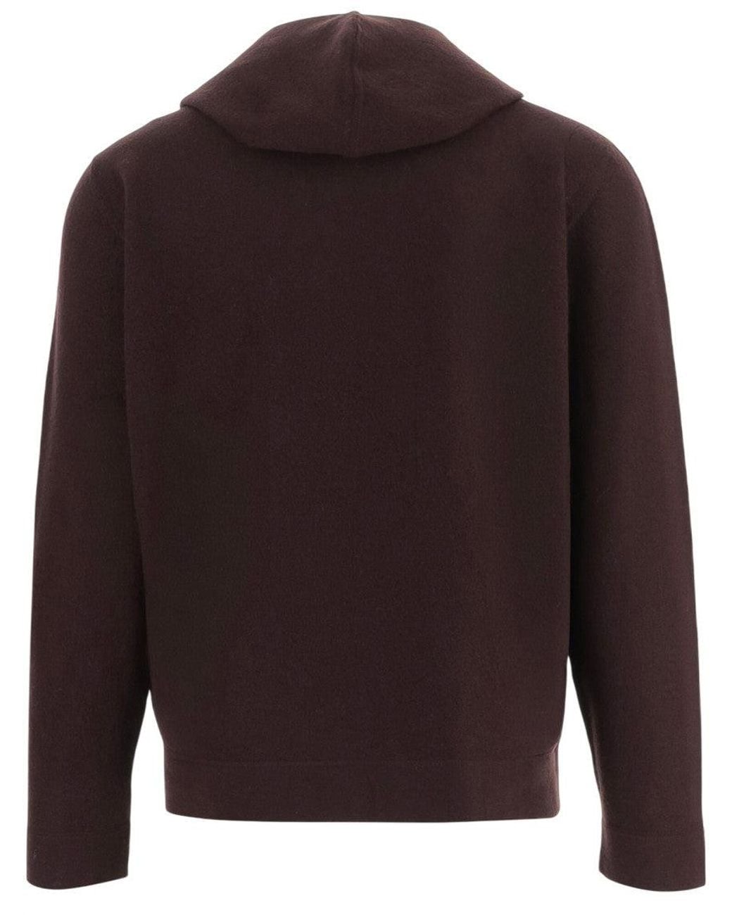 Oliver Lattughi Brown Regular Hooded Sweater for men