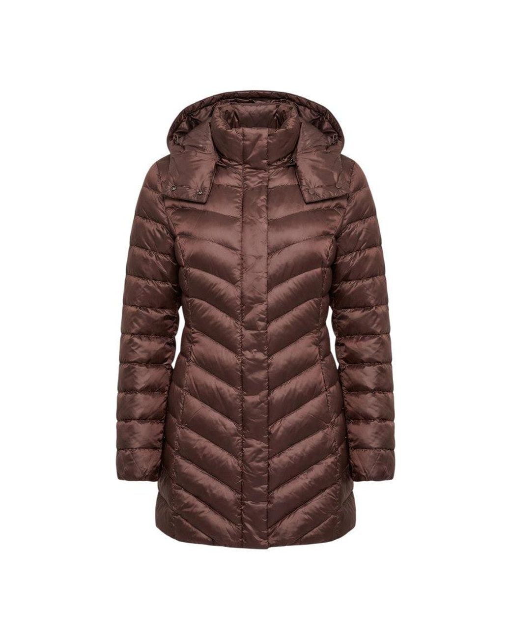 EA7 Purple Quilted Hood Jacket