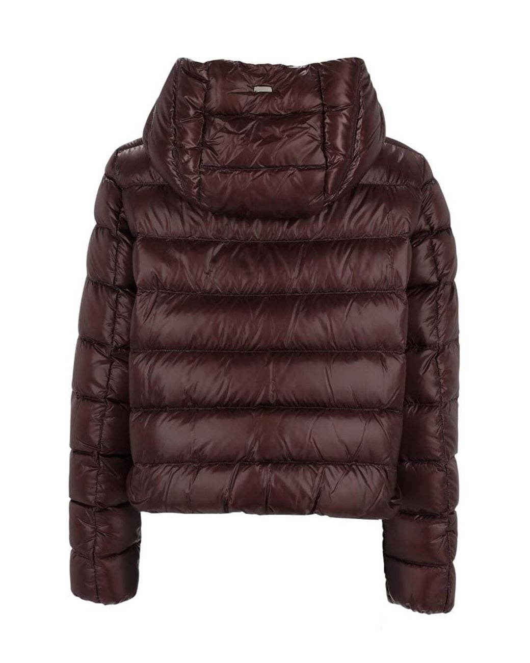 Herno Brown Quilted Hood Jacket