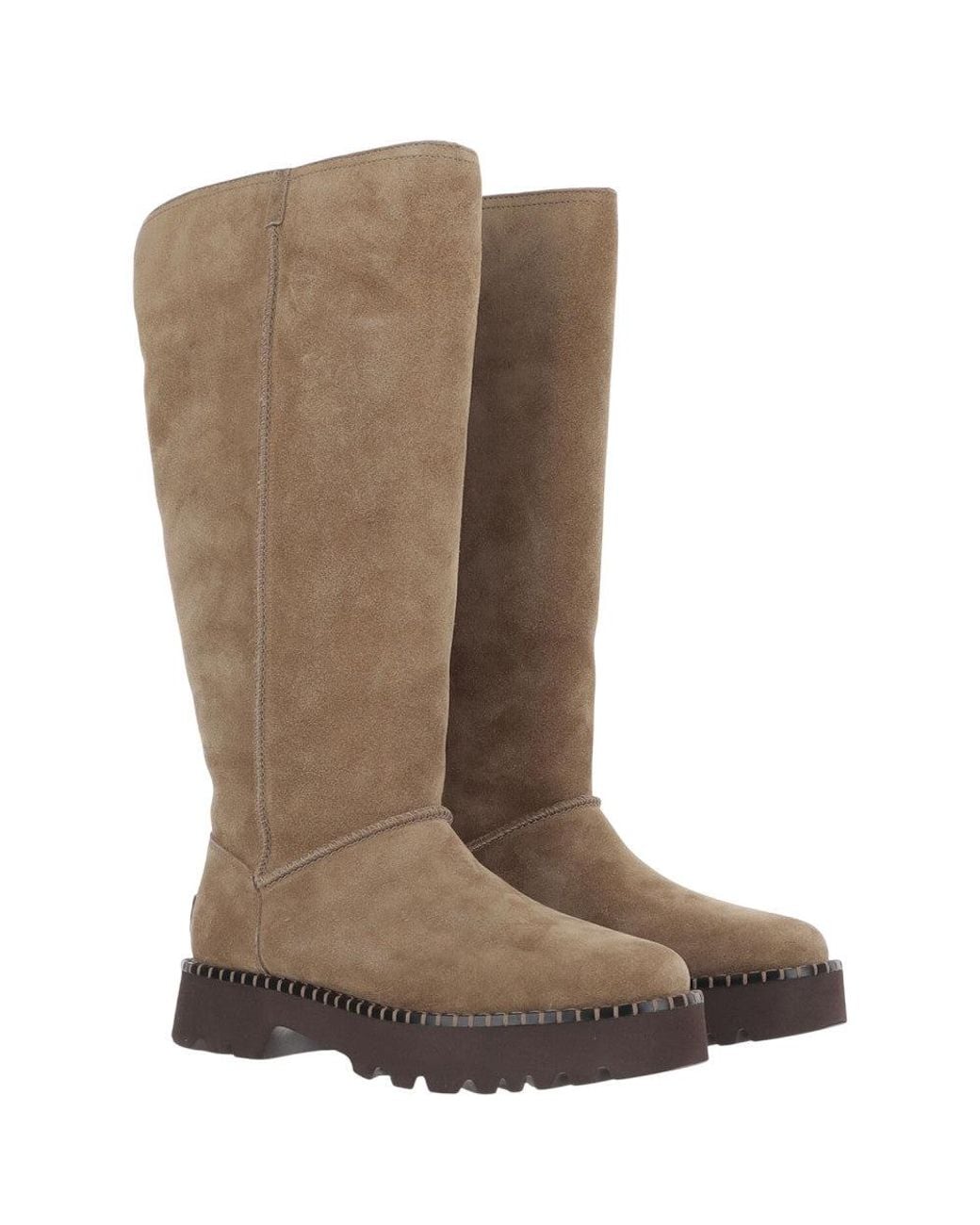 Ugg Brown Uptowner Tall Boots