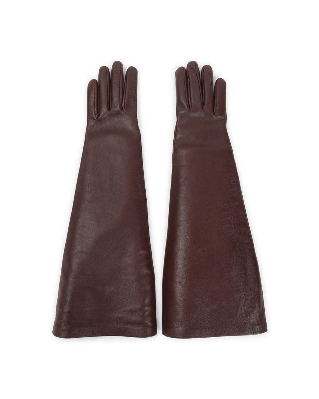 Saint Laurent Purple Dark Solid Gloves