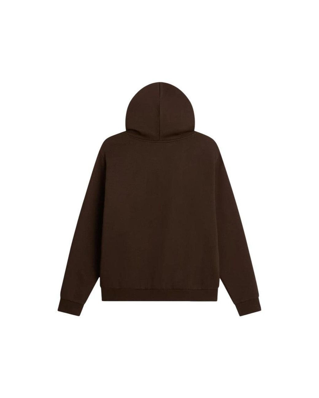 The North Face Brown Regular Logo Hoodie for men