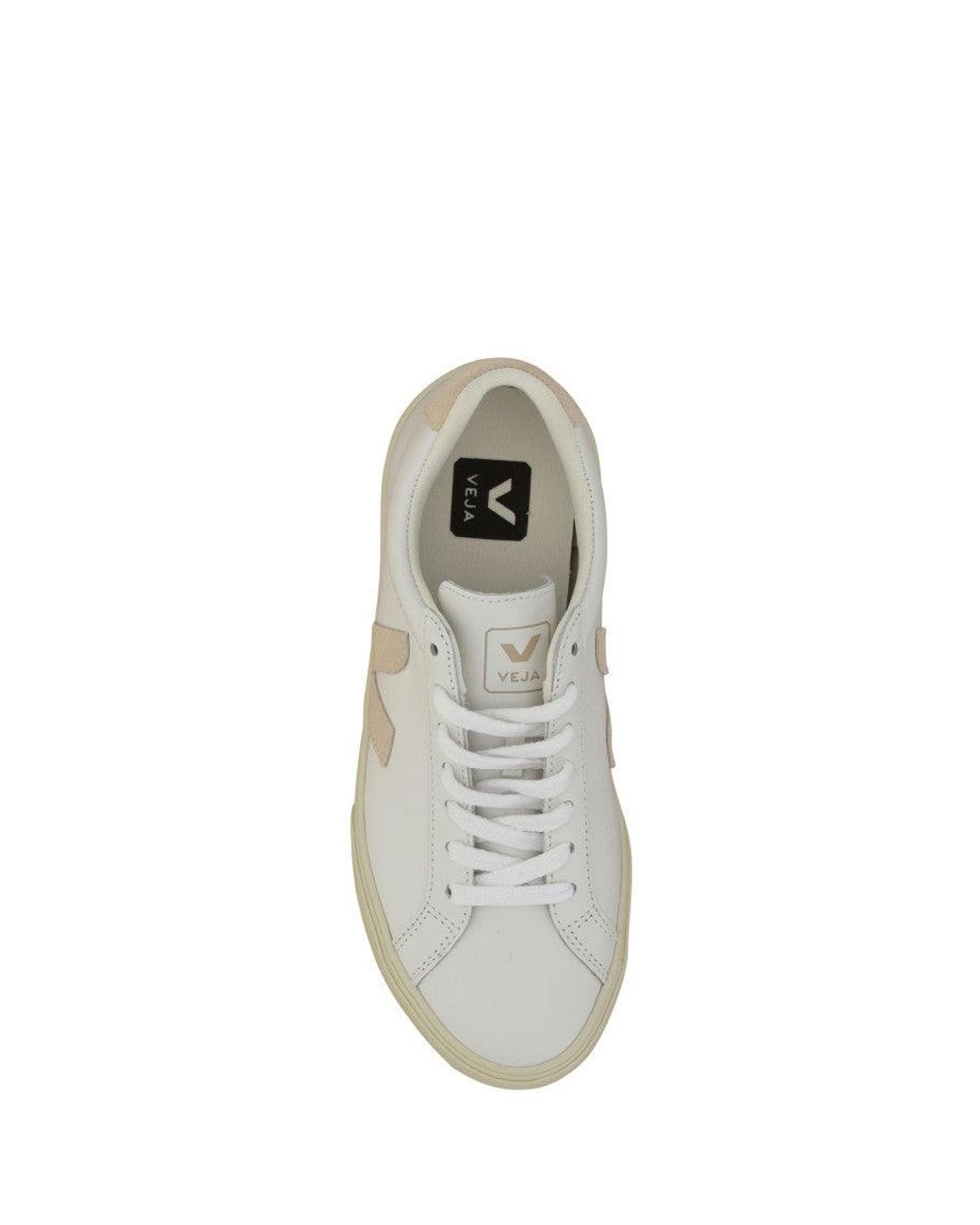 Veja White Logo Sneakers