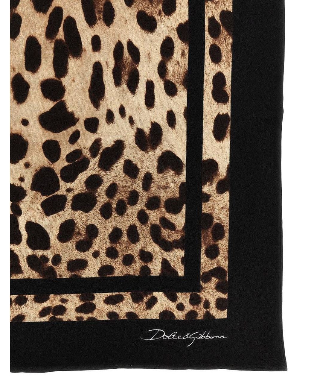 Dolce & Gabbana Black Print Iconic Scarf