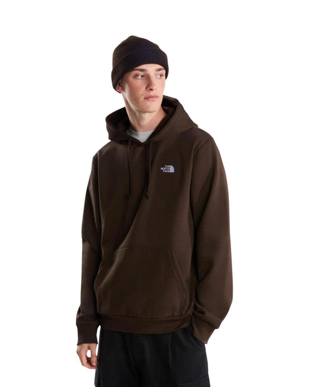 The North Face Brown Regular Logo Hoodie for men