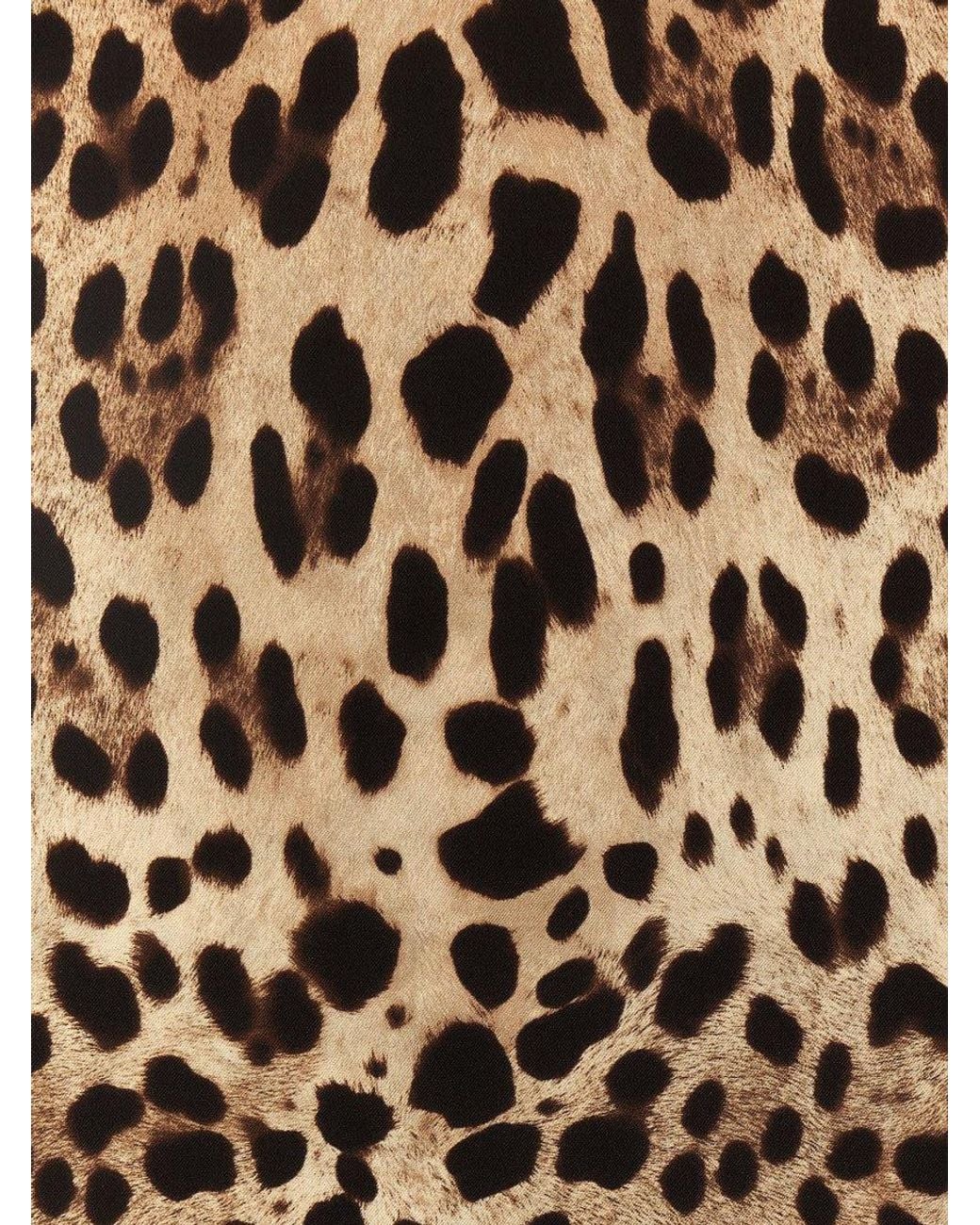 Dolce & Gabbana Black Print Iconic Scarf