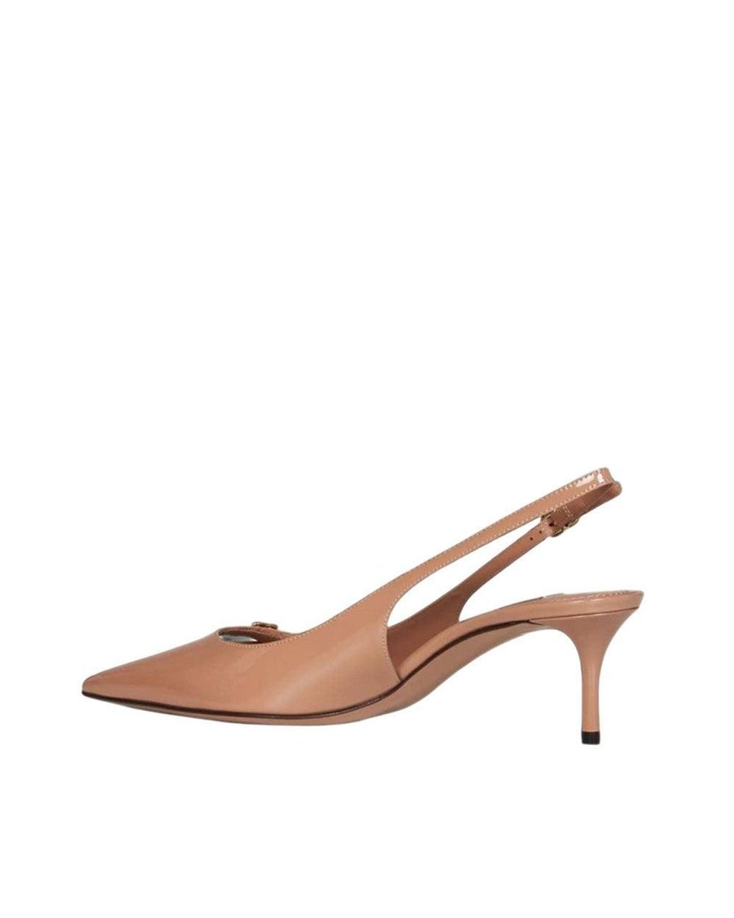 Dolce & Gabbana Brown Cardinal Pumps