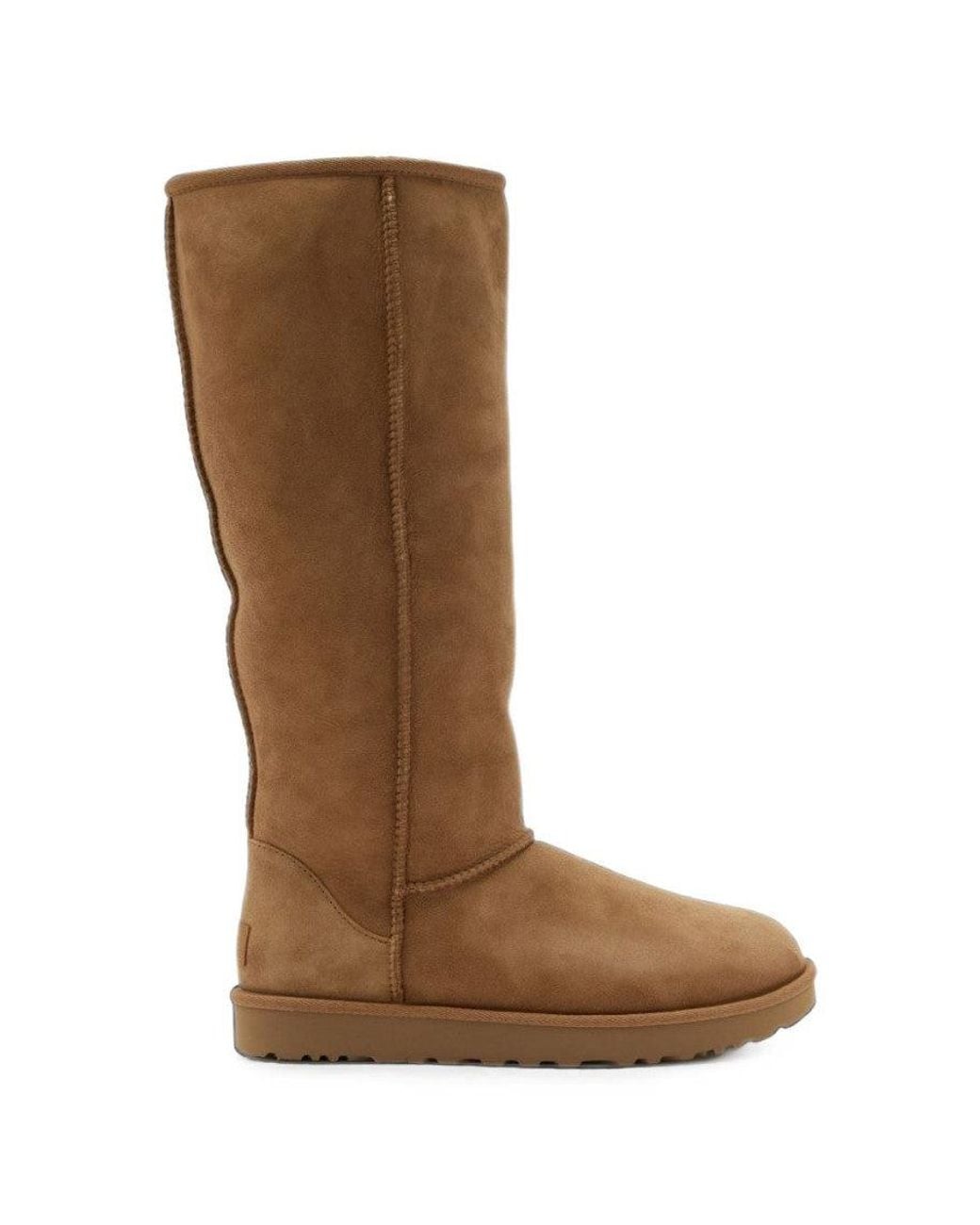 Ugg Brown Classic Tall Boot