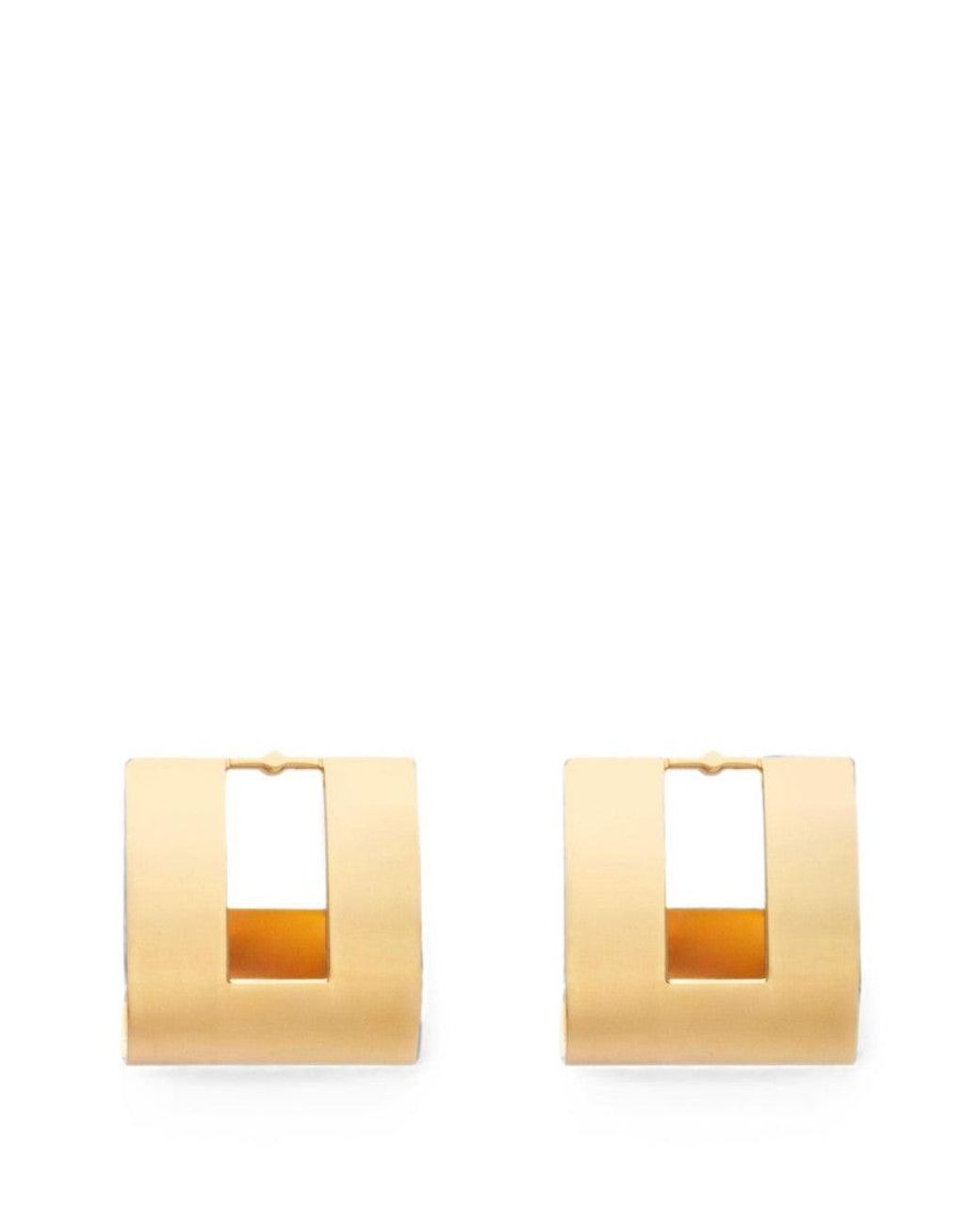 Elisabetta Franchi Natural Golden Collection Earrings