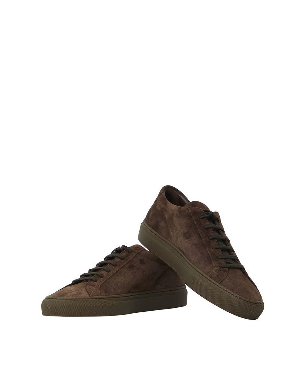 Common Projects Brown Achilles Premium Sneakers for men