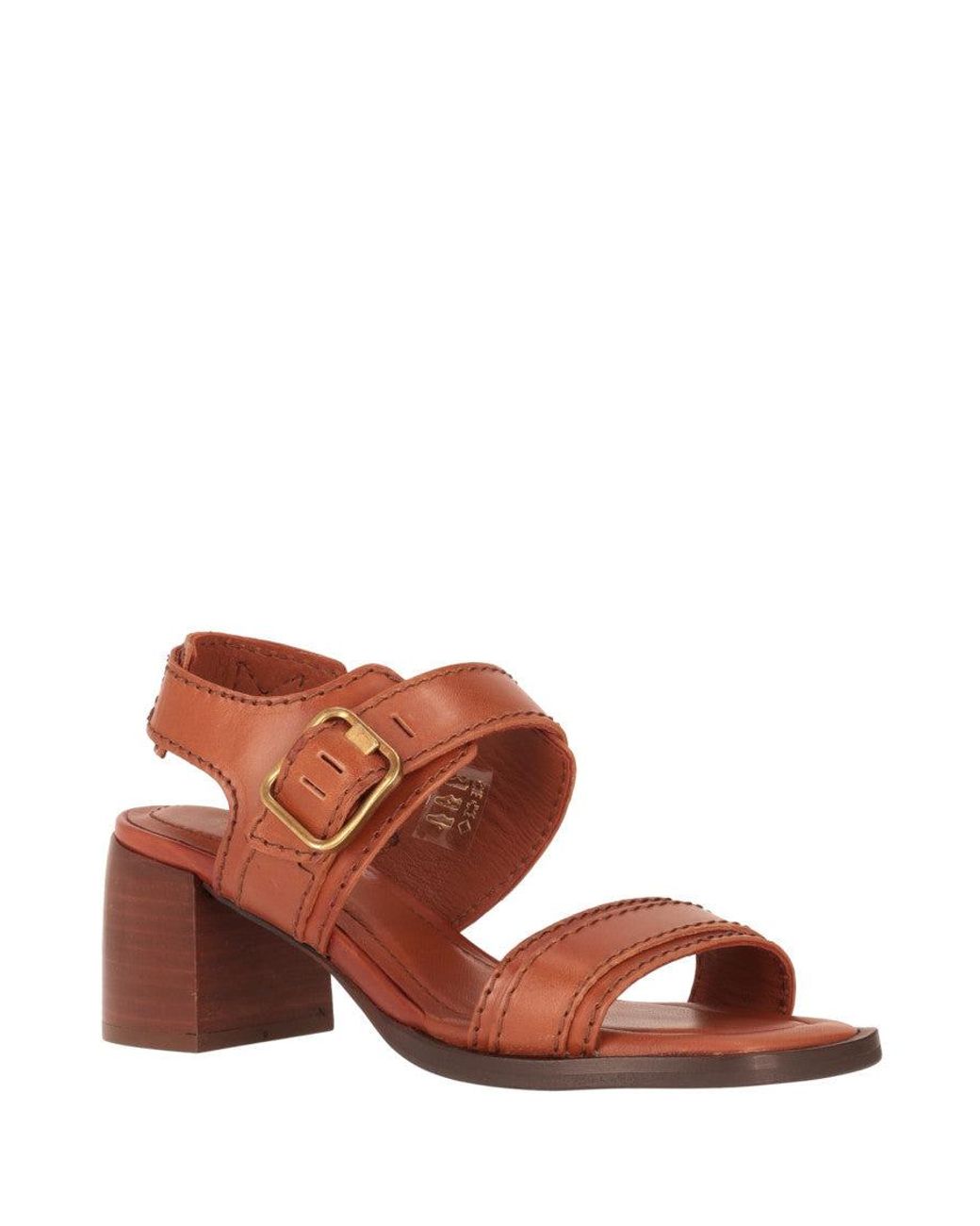 Paul Smith Brown Solid Sandals