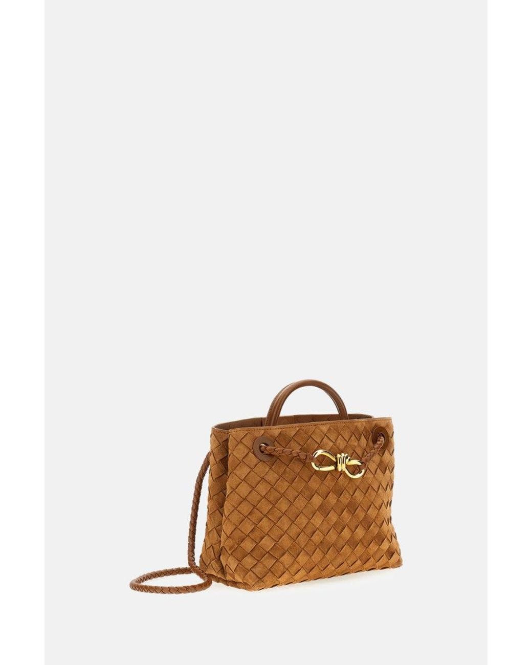 Bottega Veneta Brown Andiamo Handbag