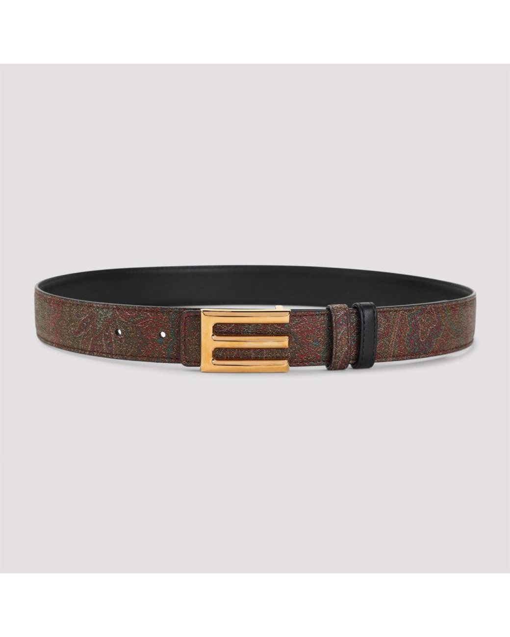 Etro Brown Paisley Signature Print Belt