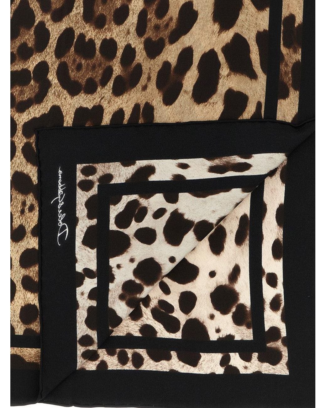 Dolce & Gabbana Black Leopard-Print Animal Print Scarf