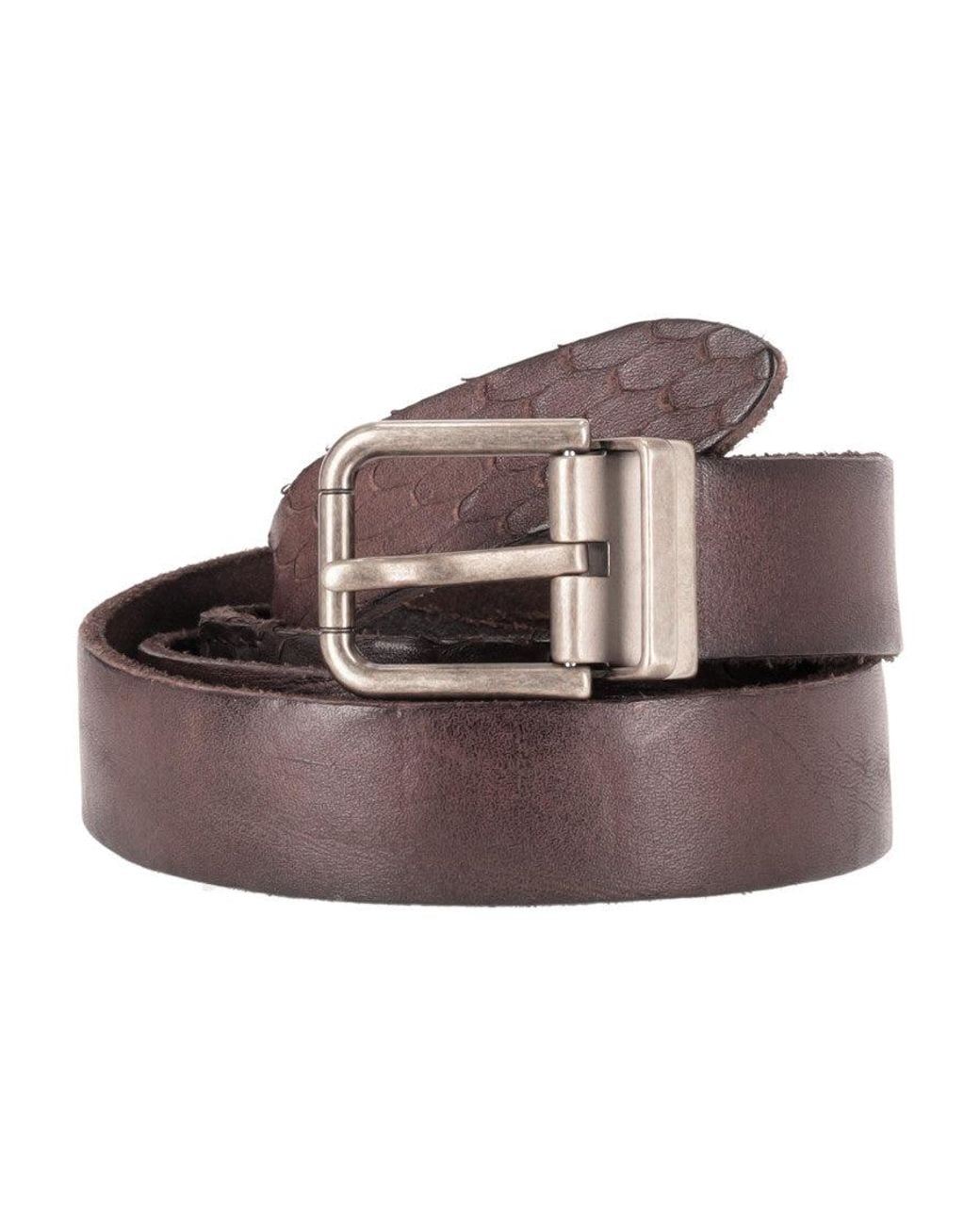 Dolce & Gabbana Brown Dark Textured Buckle Belt