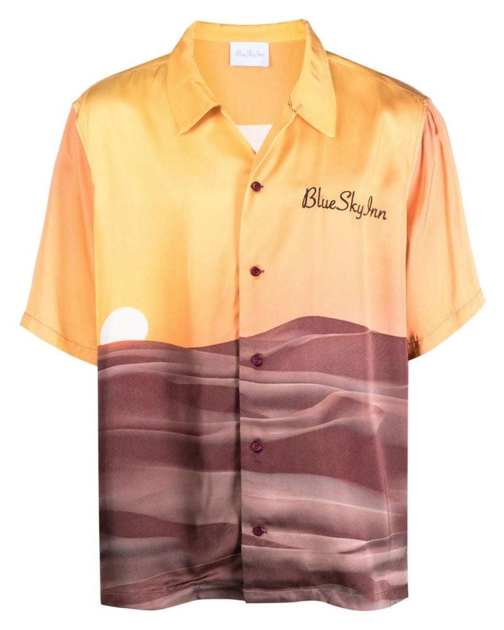 BLUE SKY INN Multicolor Regular Printed Shirt for men