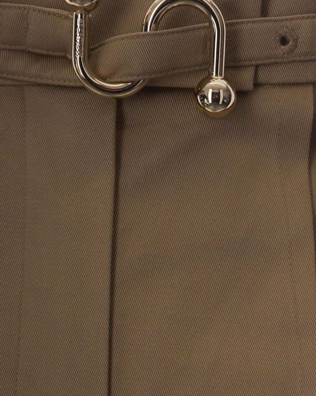 Sportmax Brown Oversized Pleated Pants