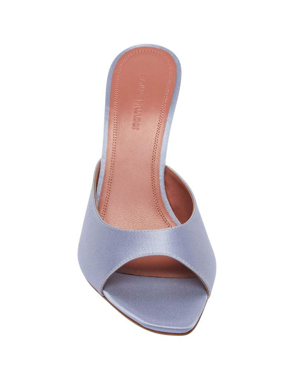 AMINA MUADDI Blue Transparent Alexa Heels