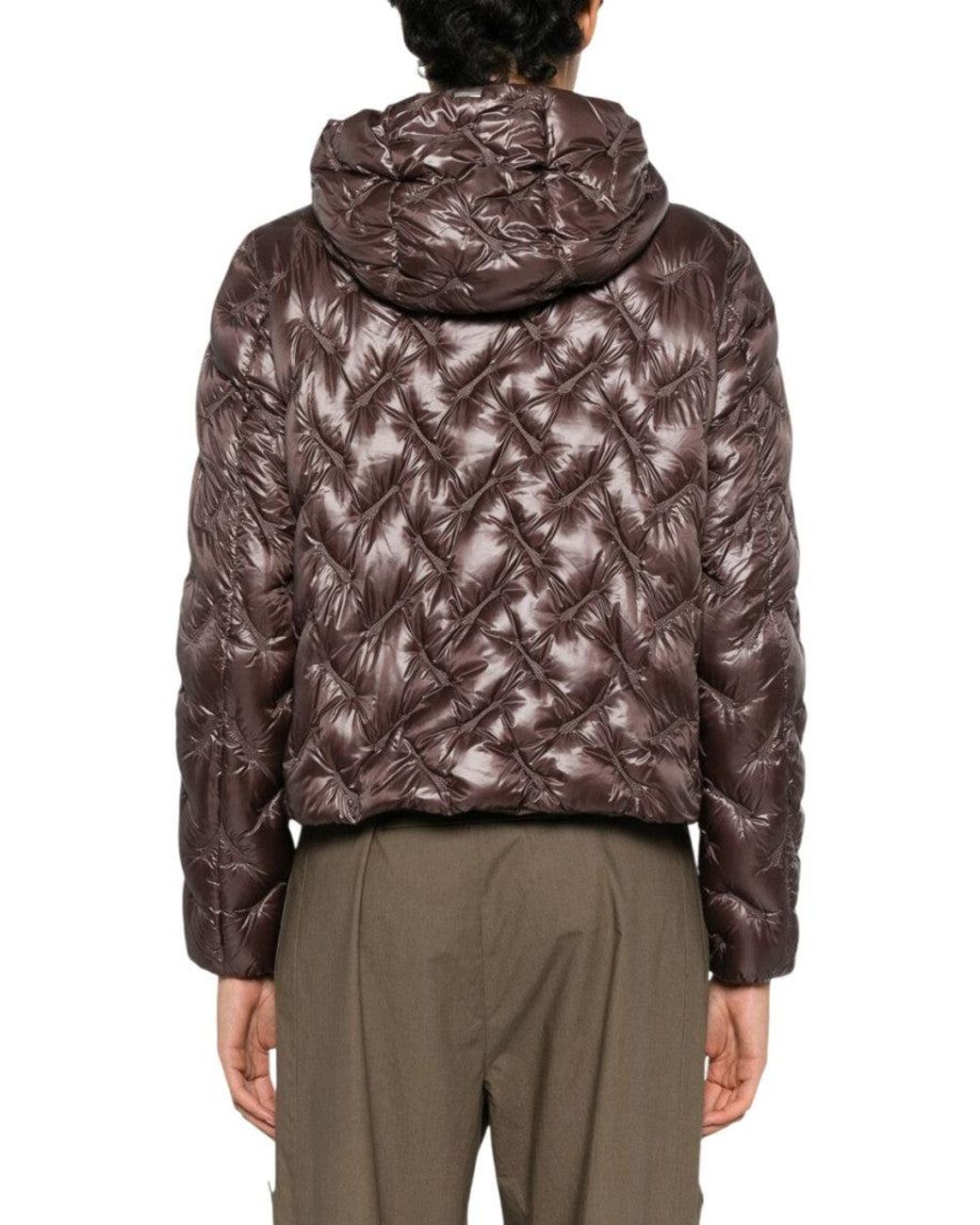 Herno Brown Quilted Hood Jacket