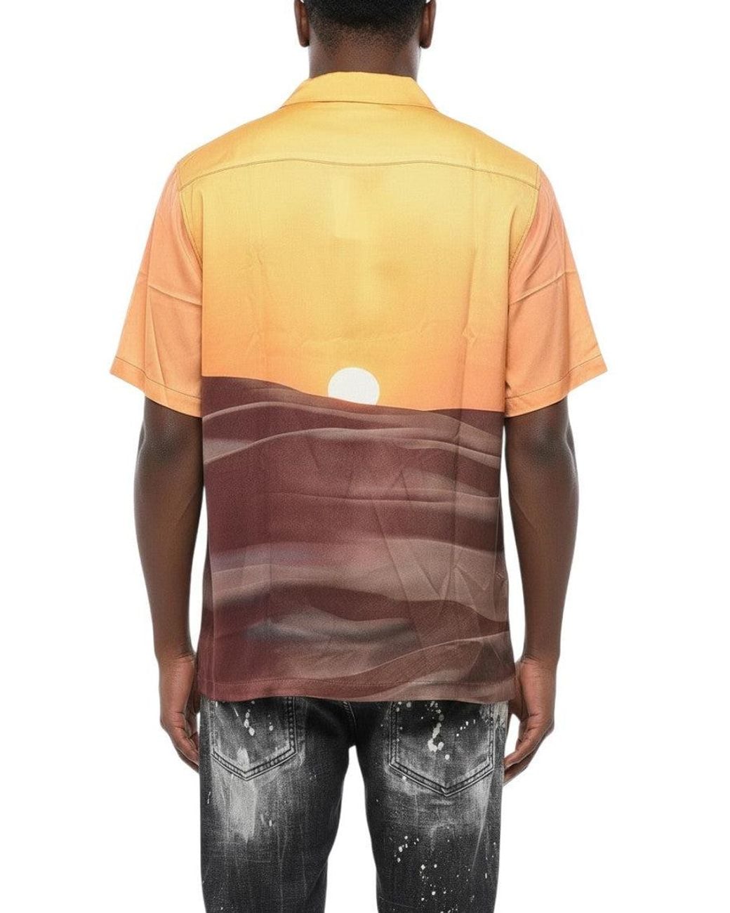 BLUE SKY INN Multicolor Regular Printed Shirt for men