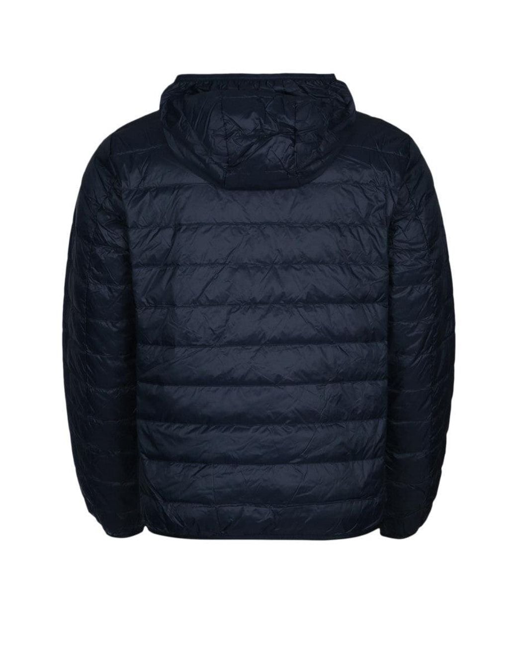 EA7 Blue Dark Logo Print Jacket for men