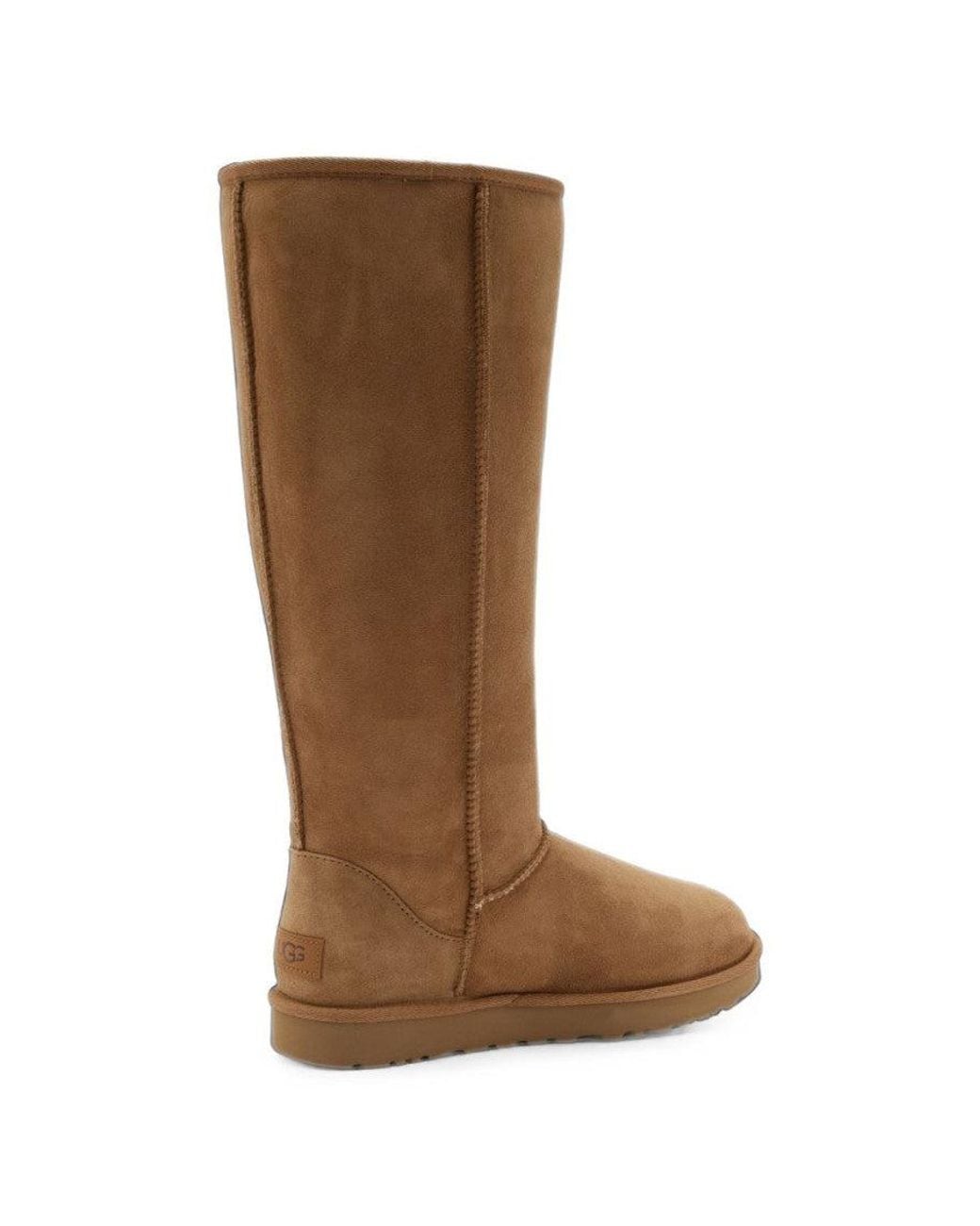 Ugg Brown Classic Tall Boot