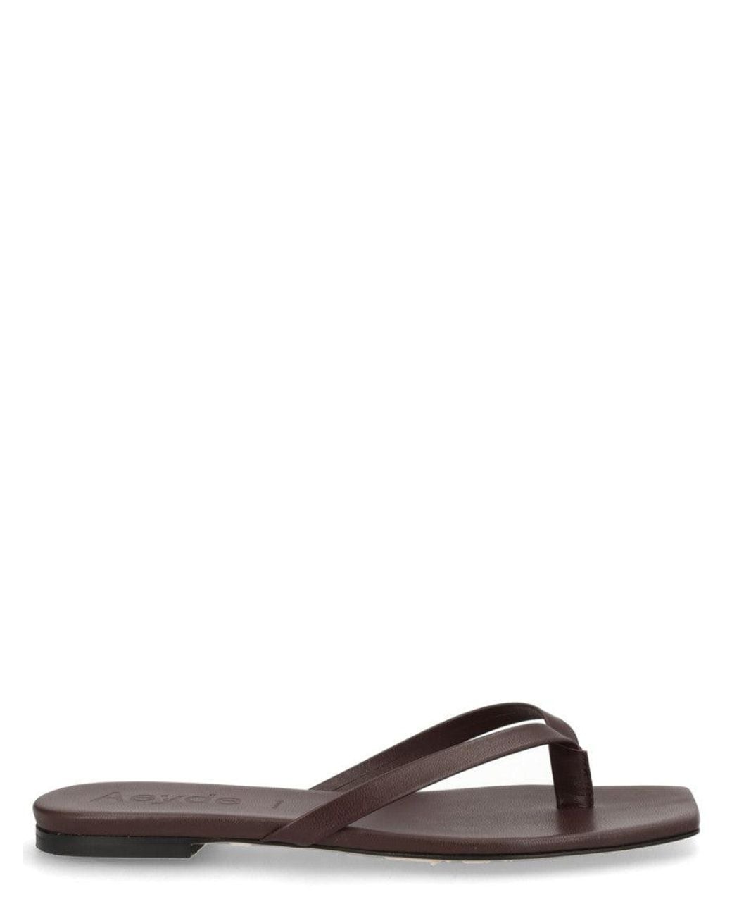 Aeyde Brown Slip On Slippers