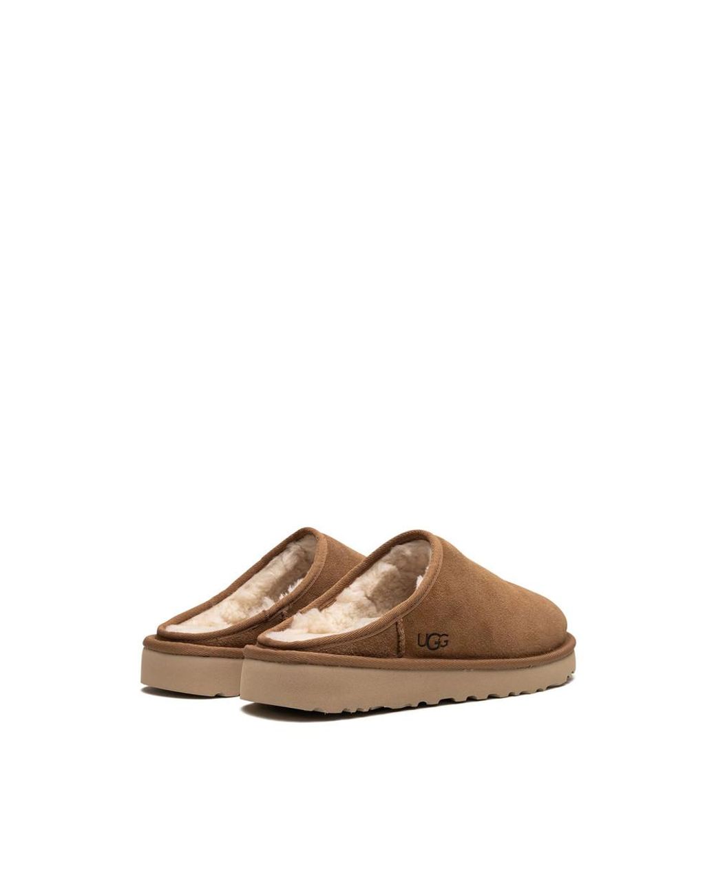 Ugg Brown Slippers for men