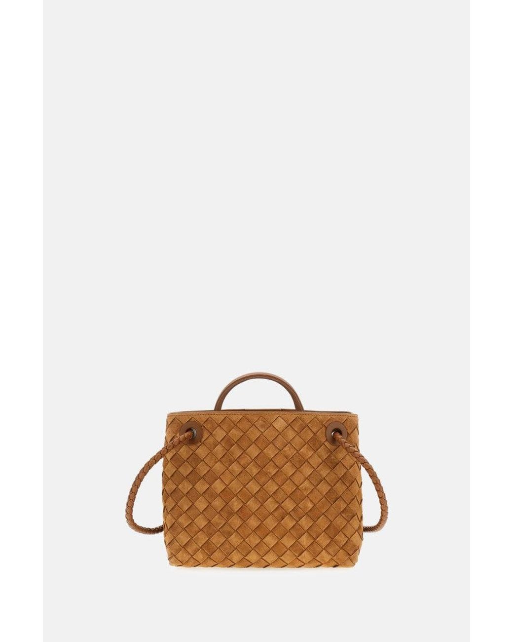 Bottega Veneta Brown Andiamo Handbag