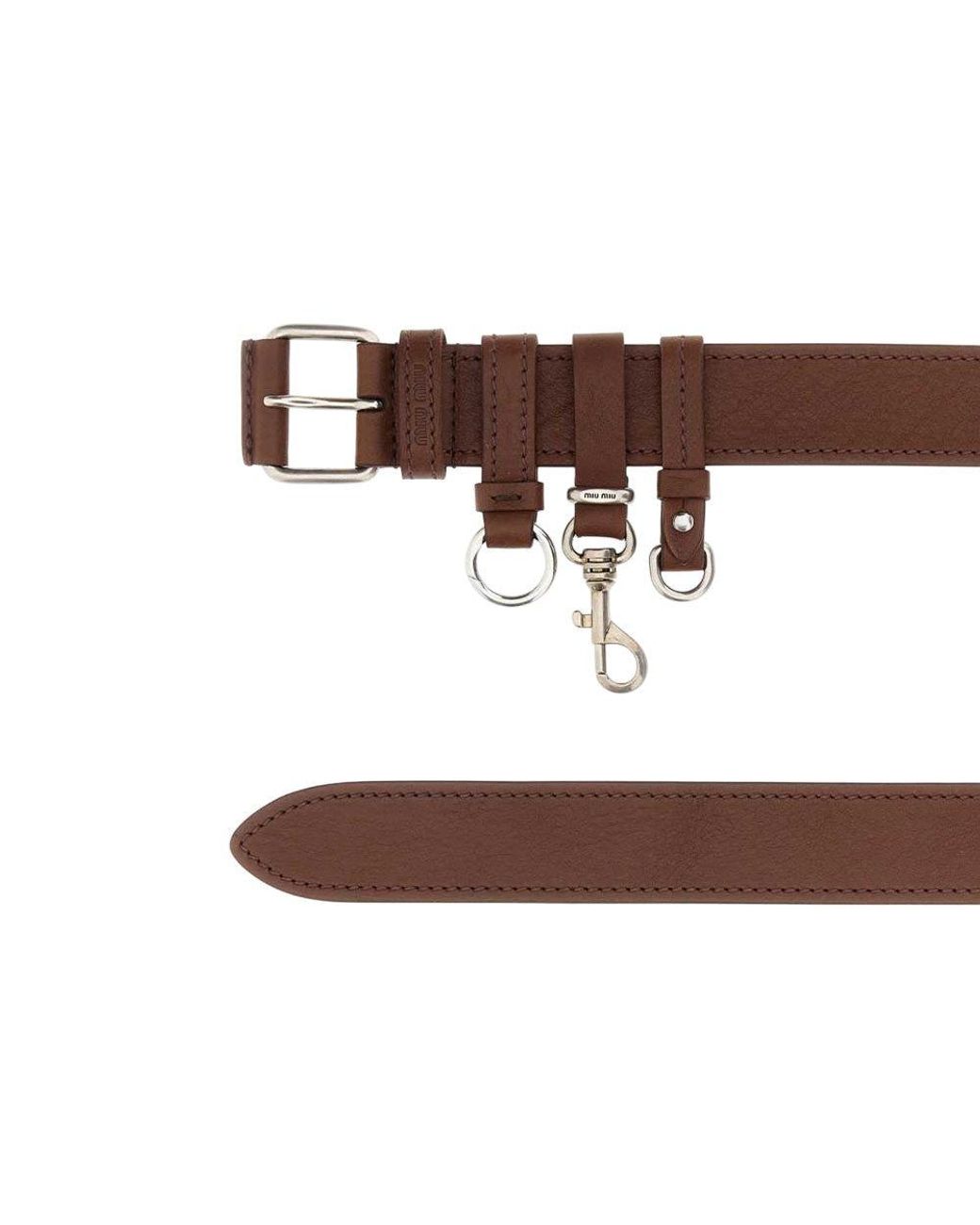 Miu Miu Brown Solid Belt