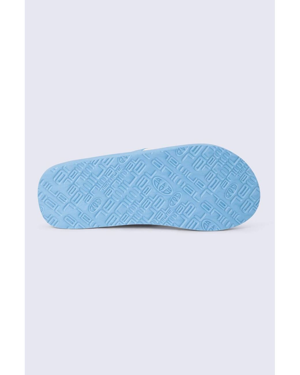 Animal Blue Swish All Over Printed Flip Flop
