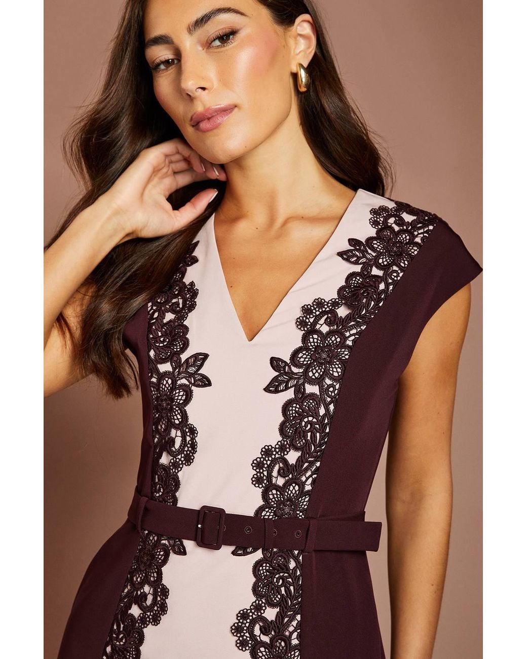 Coast Brown Lace Trim Colour Block Belted Midi Dress