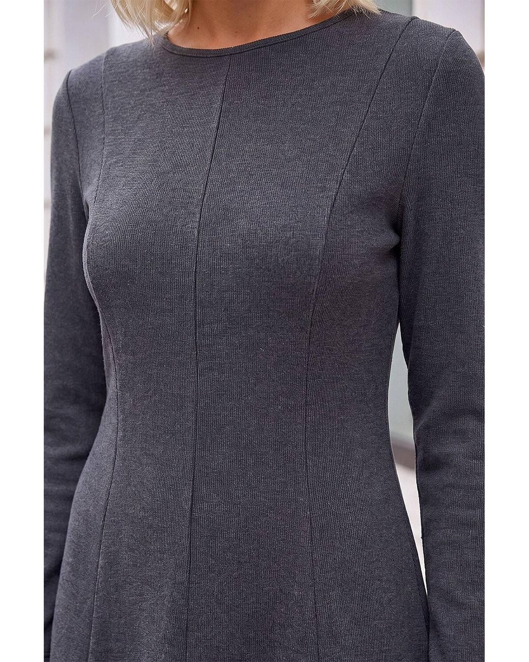 Roman Gray Petite Seam Detail Dress
